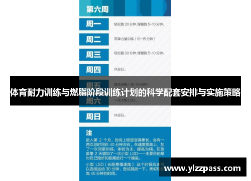 体育耐力训练与燃脂阶段训练计划的科学配套安排与实施策略
