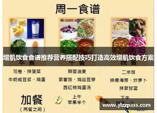 增肌饮食食谱推荐营养搭配技巧打造高效增肌饮食方案