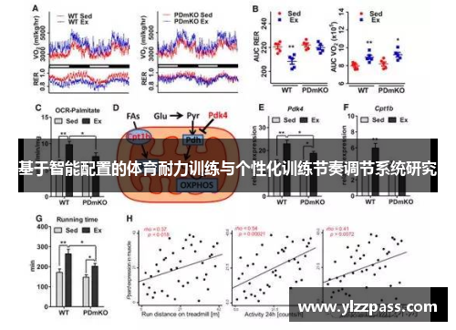 基于智能配置的体育耐力训练与个性化训练节奏调节系统研究